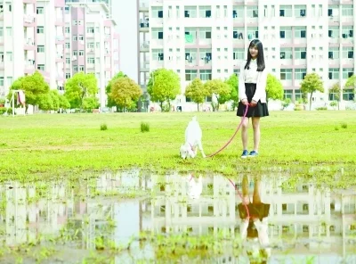 姓爱自修室弟2季国语版 姓爱自修室弟2季国语版